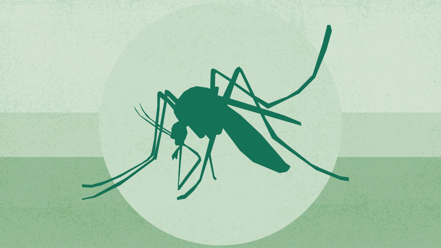 two-west-nile-cases-in-new-york-city-1440x810