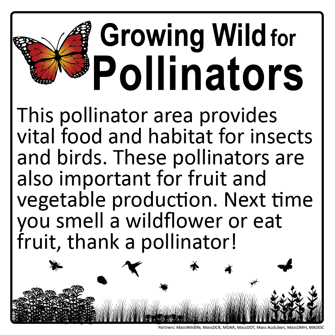growing wild for pollinators sign