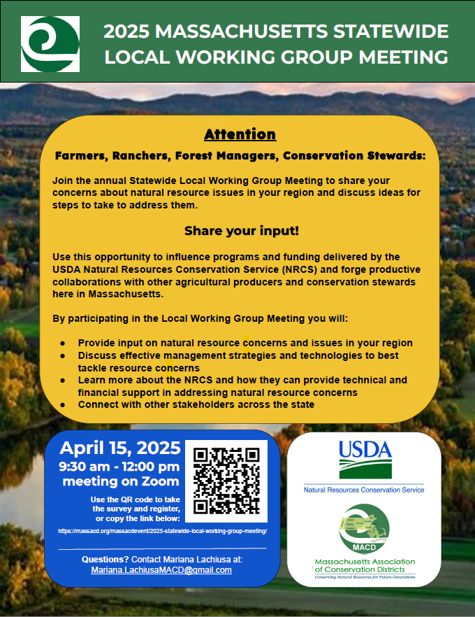 Statewide Local Working Group April 15 2025